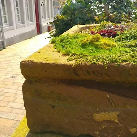 Pearl - King Bed - Netflix - Projector - Fast Wi-fi Lejlighed Trier