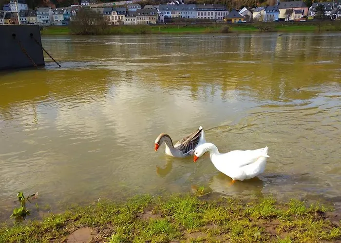 Pearl - King Bed - Netflix - Projector - Fast Wi-fi アパート