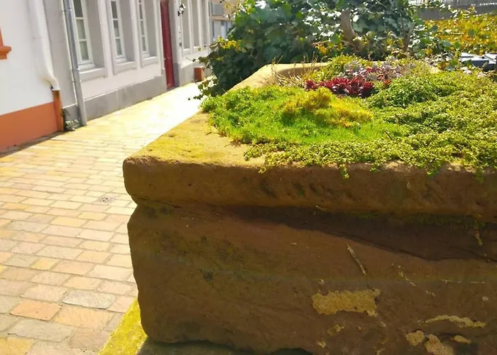 Pearl - King Bed - Netflix - Projector - Fast Wi-fi アパート トリーア